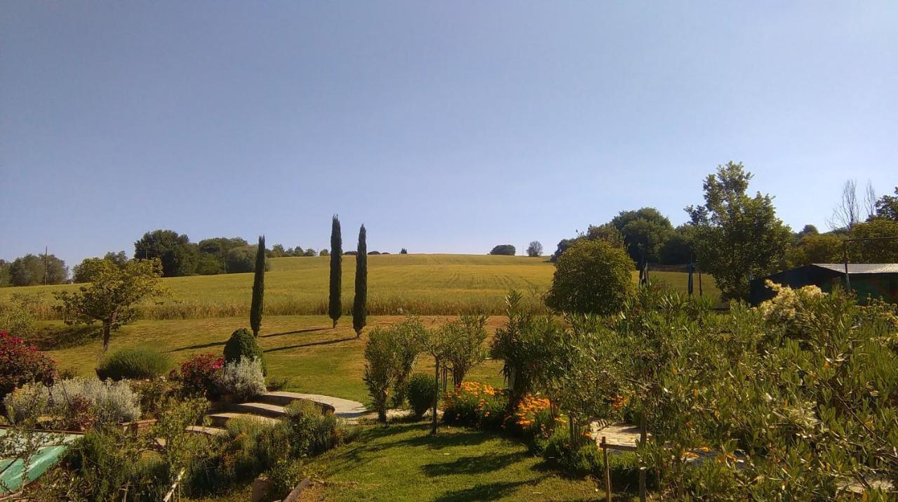 Villa Nobile Cortona Family Apartments Bagian luar foto